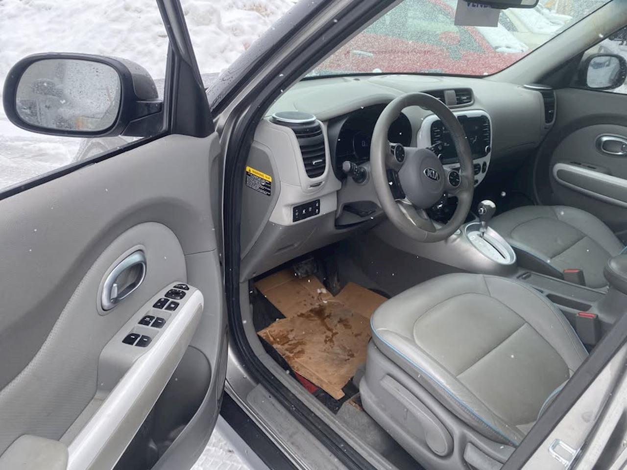 2016 Kia Soul EV Luxury Photo