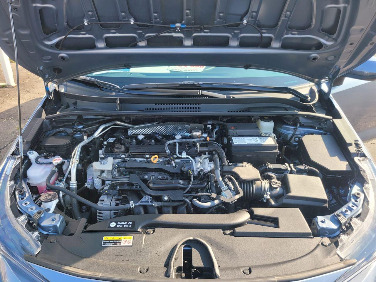 2024 Toyota Corolla L/LE Photo