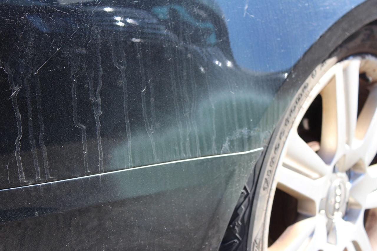 2011 Audi A4 2.0T PREMIUM Photo