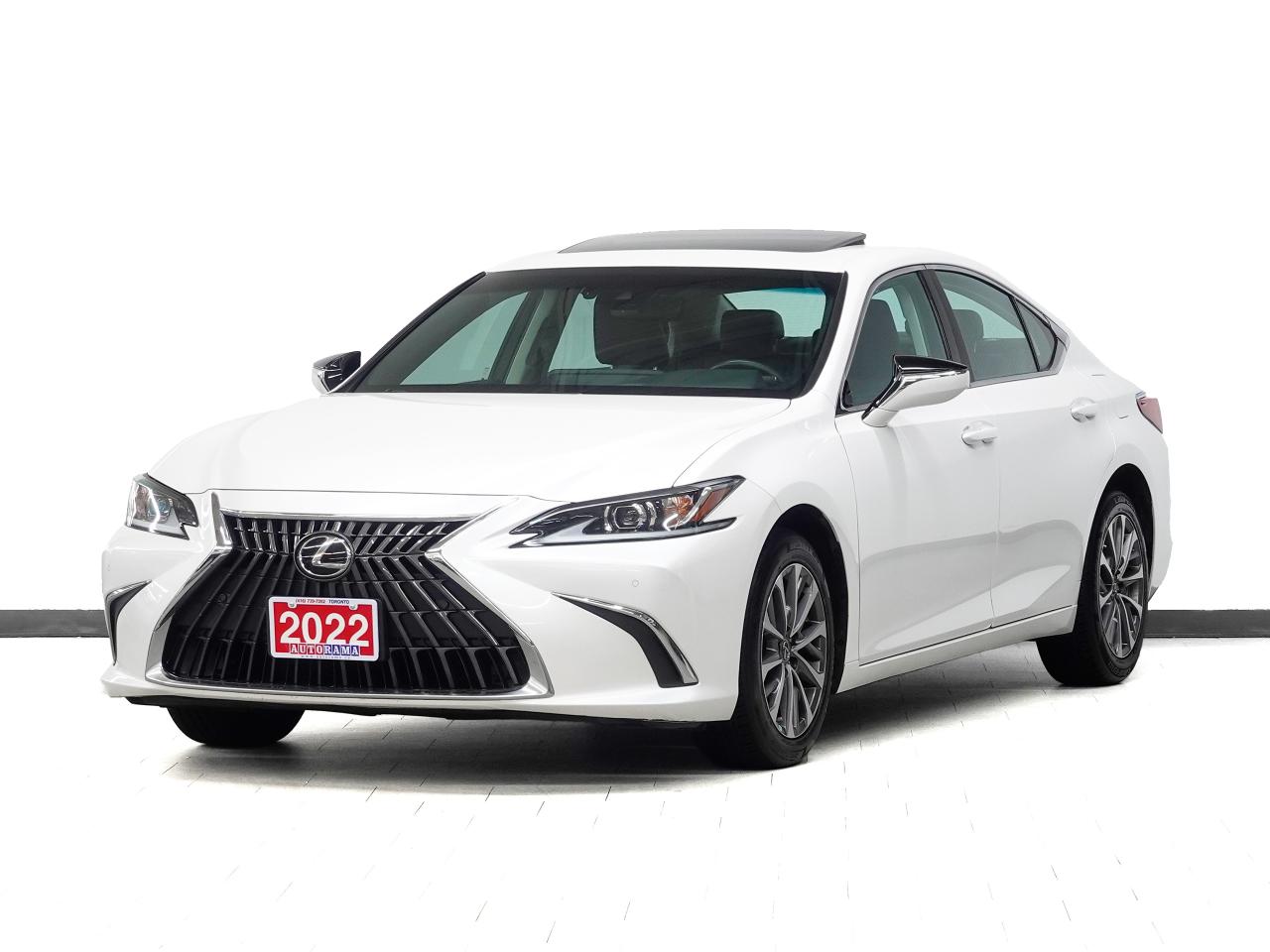 2022 Lexus ES 250 AWD | Leather | Sunroof | BSM | ACC | CarPlay
