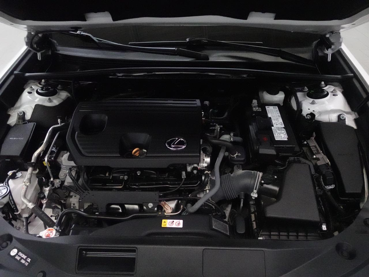 2022 Lexus ES 250 AWD | Leather | Sunroof | BSM | ACC | CarPlay