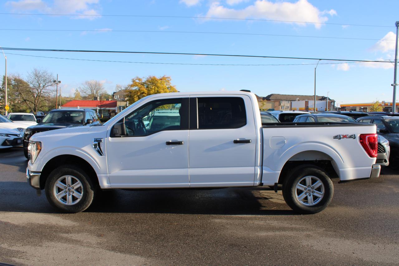 2023 Ford F-150 XL Photo2