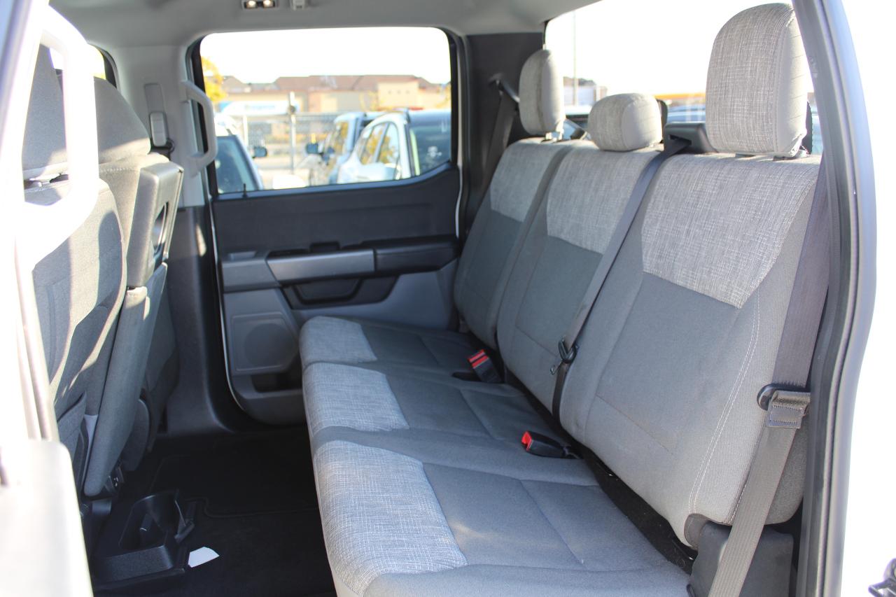 2023 Ford F-150 XL - Photo #13