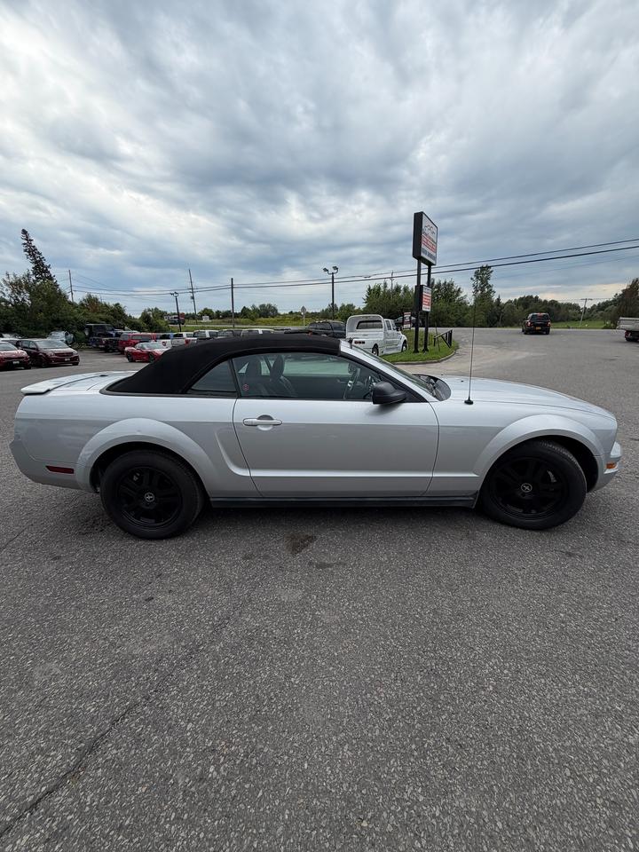 2008 Ford Mustang  Photo