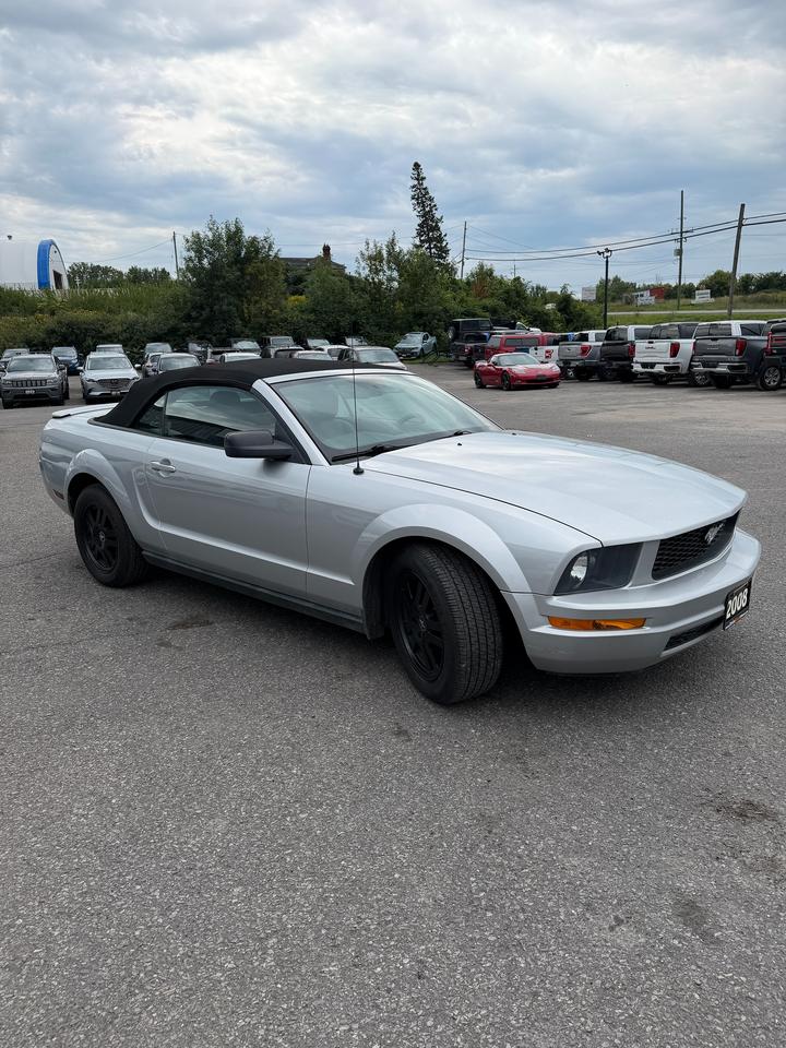 2008 Ford Mustang  Photo