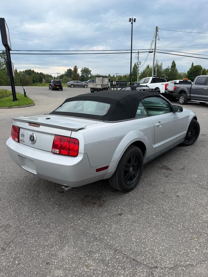 2008 Ford Mustang  Photo4