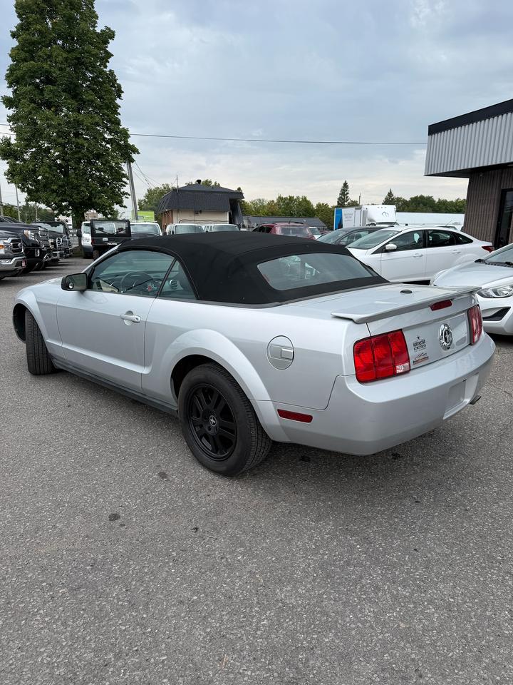 2008 Ford Mustang  Photo2