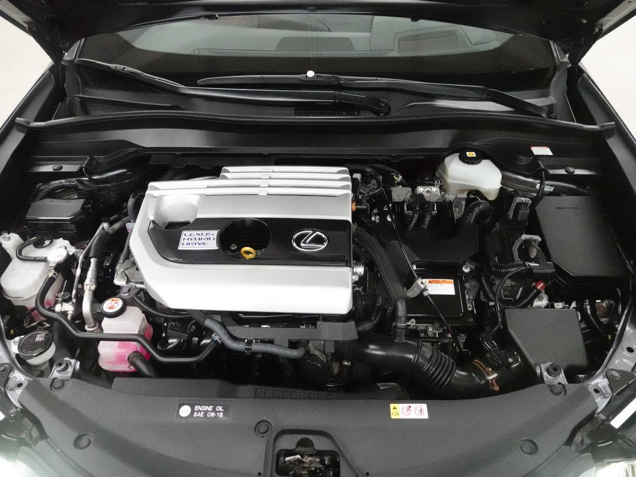 2020 Lexus UX 250 HYBRID F-SPORT | AWD | Nav | Sunroof | CarPlay