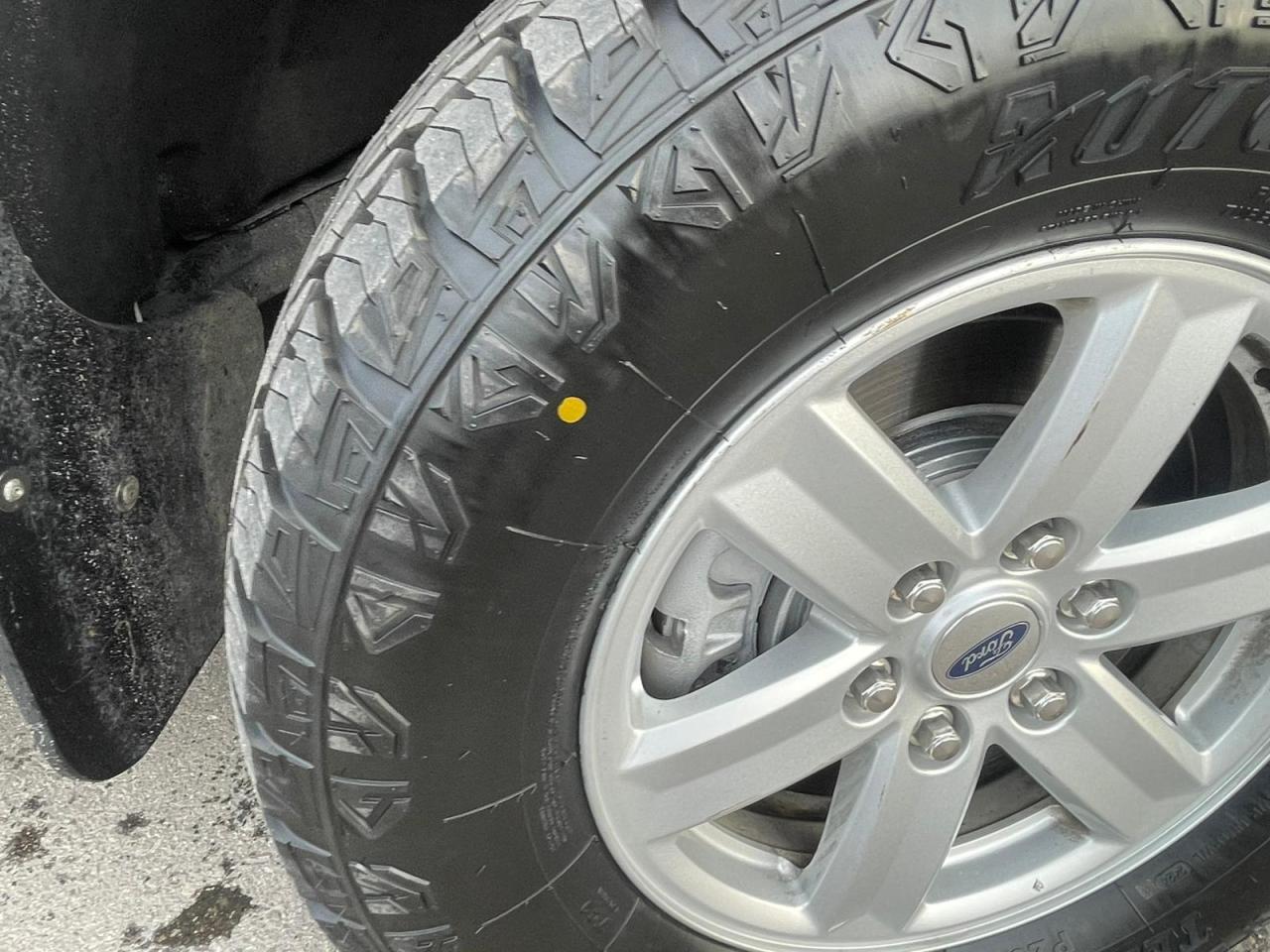 2021 Ford F-150 XLT 4WD SuperCrew 6.5' Box NEW TIRES NO ACCIDENT Photo