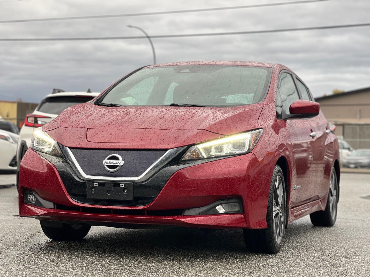 Used 2019 Nissan Leaf SV for sale in Langley, BC