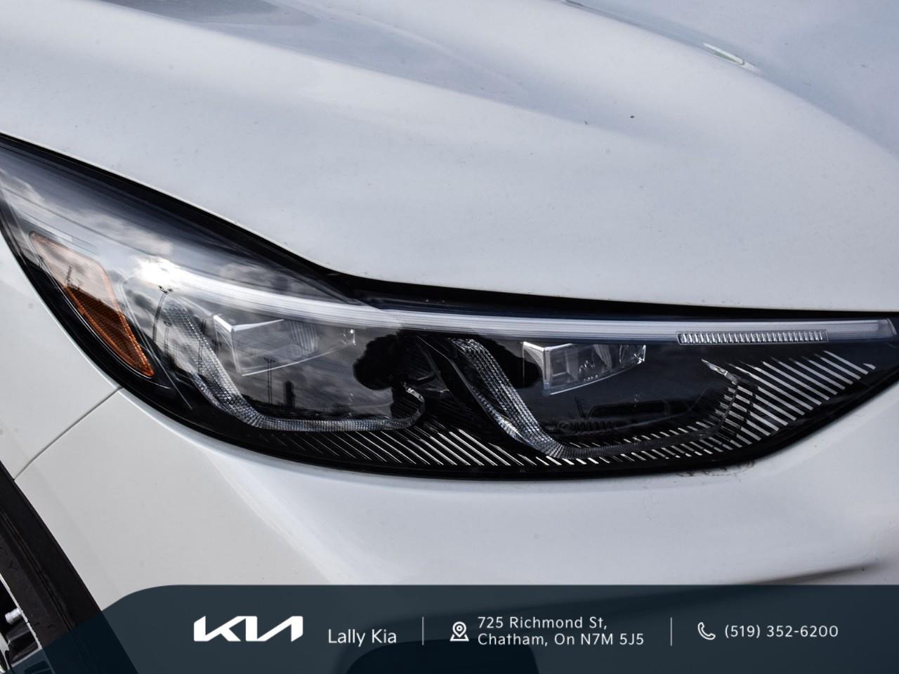 2024 Ford Escape PHEV New Arrival | Prem. Package | Trailer Tow Package | Clean CarFax | Low KMs Photo