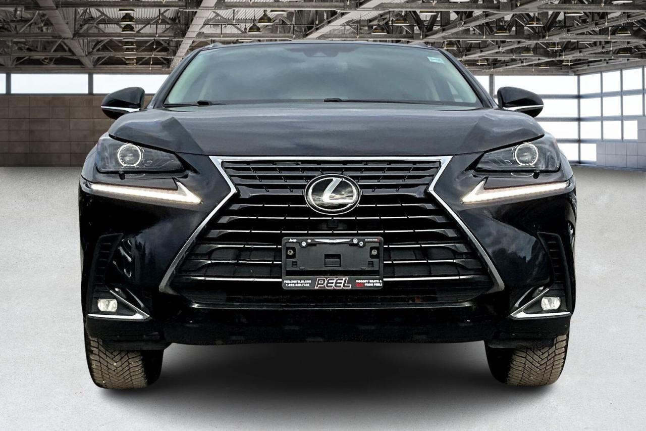2021 Lexus NX NX300 | Vented Leather | Sunroof | AWD Photo2