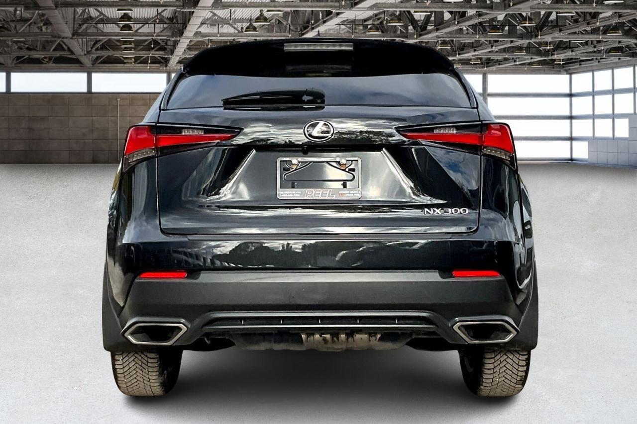 2021 Lexus NX NX300 | Vented Leather | Sunroof | AWD Photo3