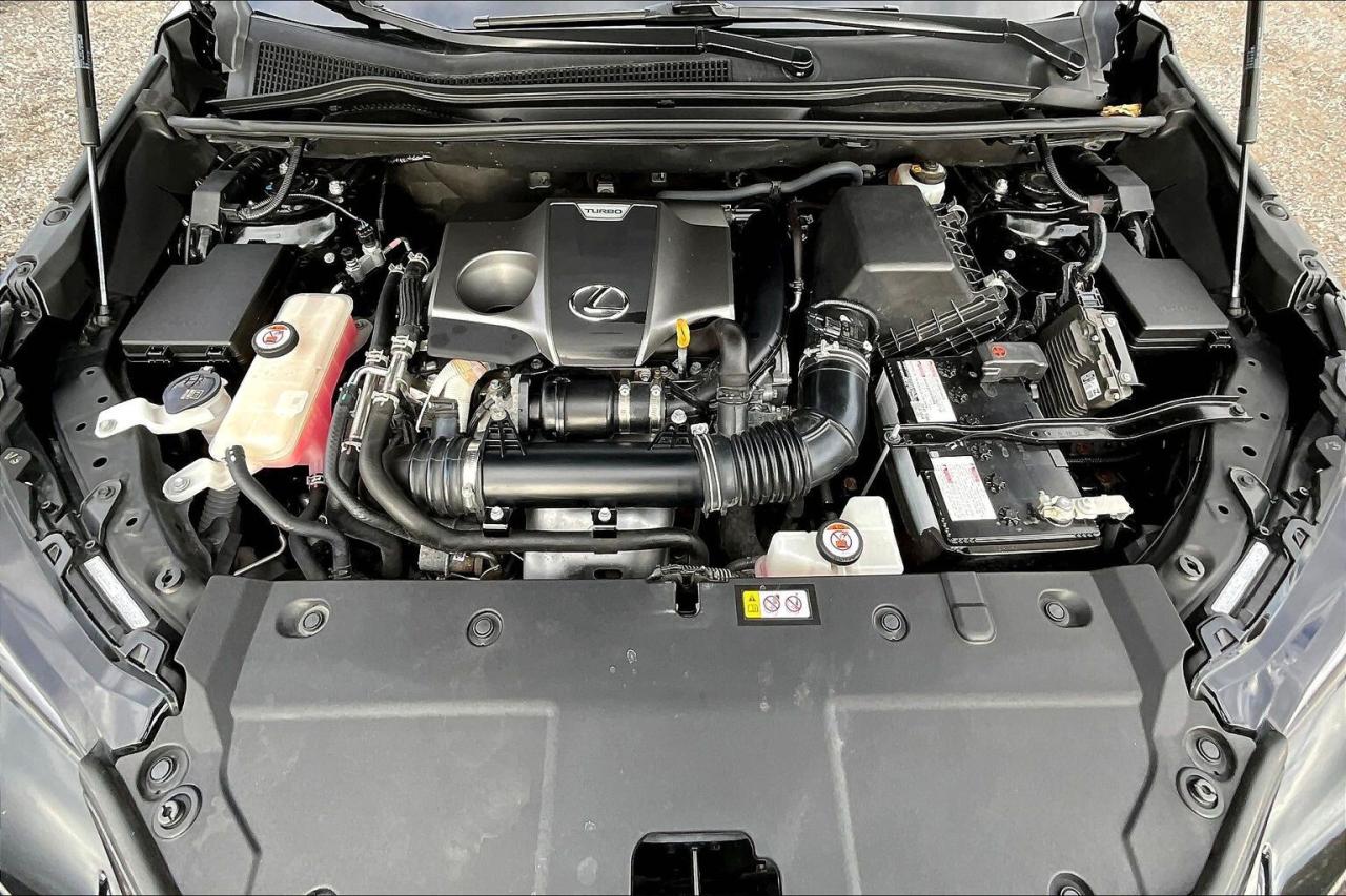 2021 Lexus NX NX300 | Vented Leather | Sunroof | AWD Photo