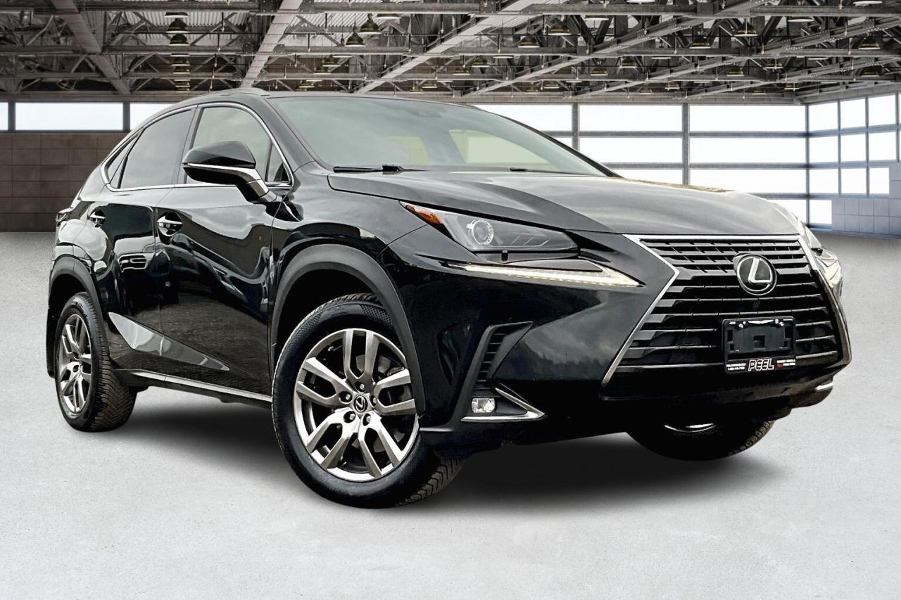 2021 Lexus NX NX300 | Vented Leather | Sunroof | AWD Photo