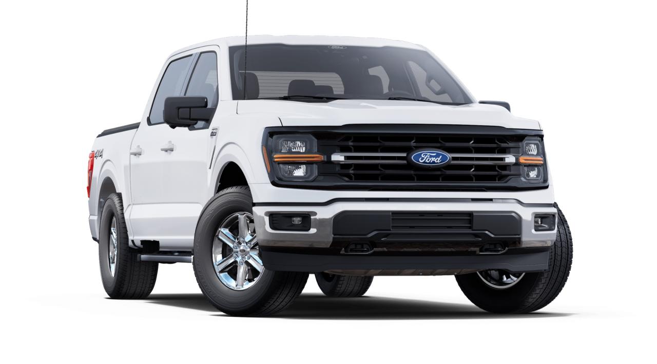 2025 Ford F-150 XLT Photo