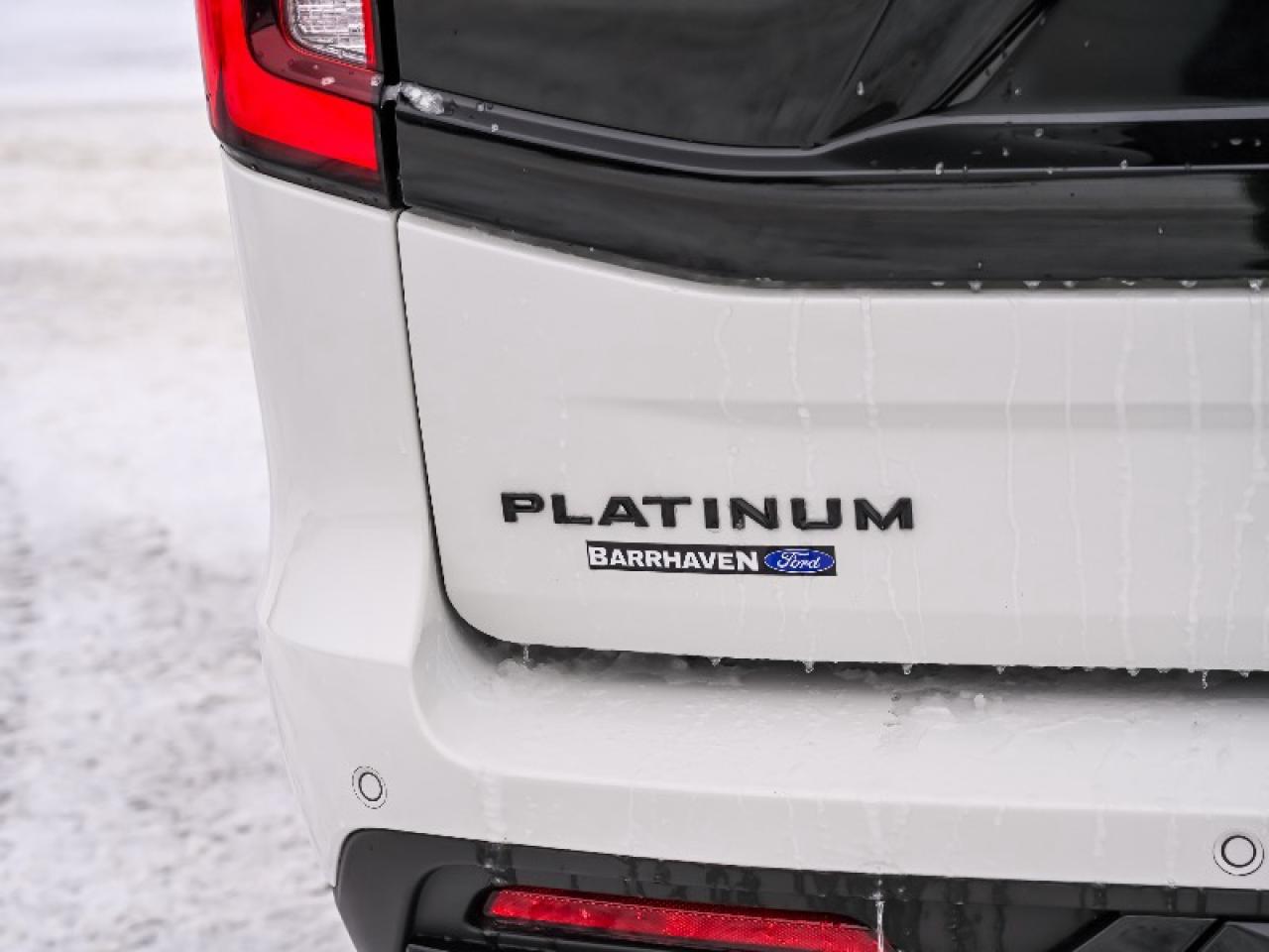 2025 Ford Expedition Platinum Photo4