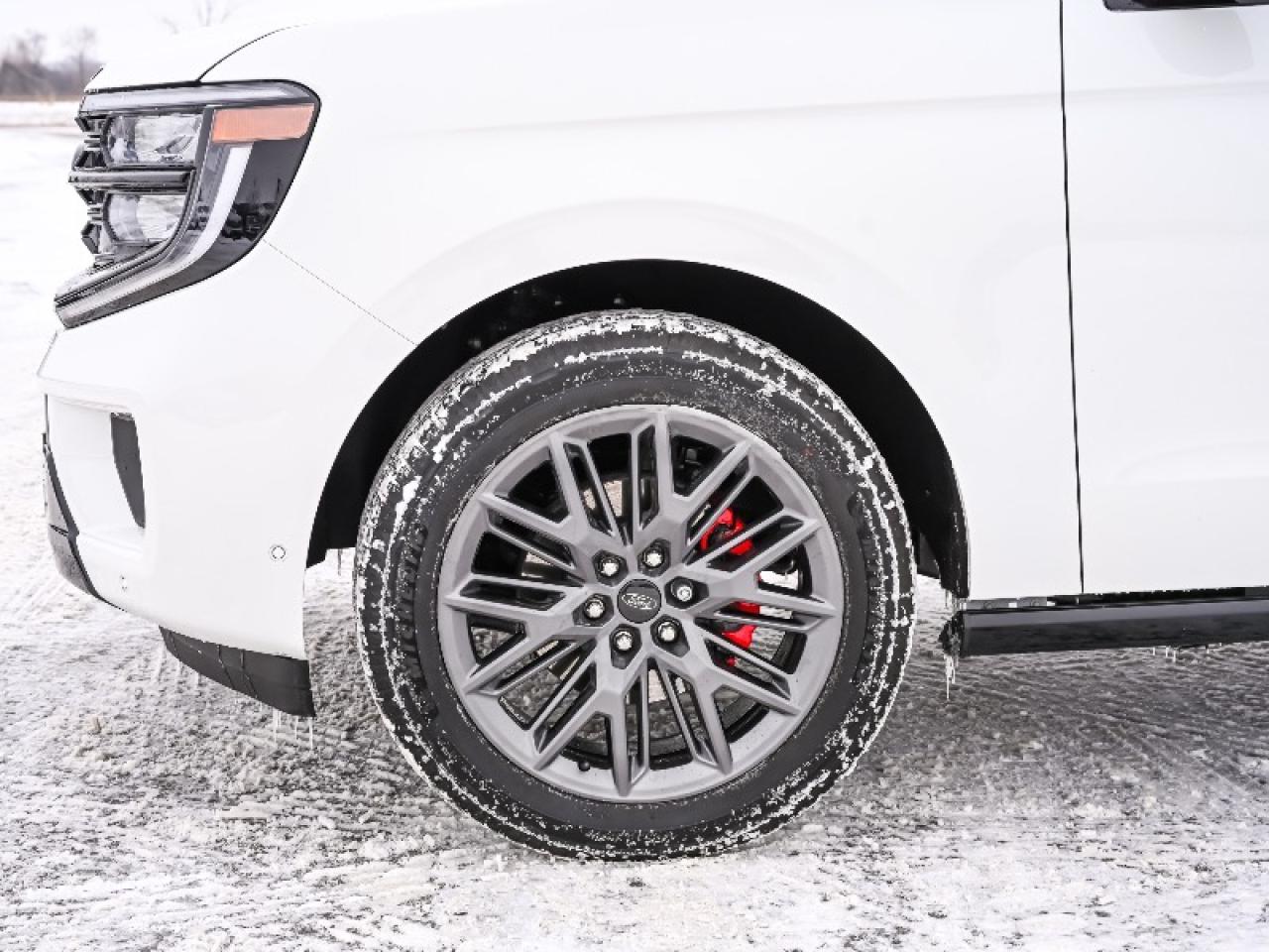 2025 Ford Expedition Platinum Photo