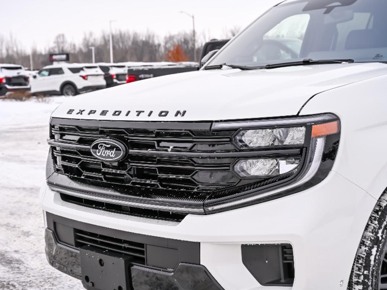 2025 Ford Expedition Platinum Photo