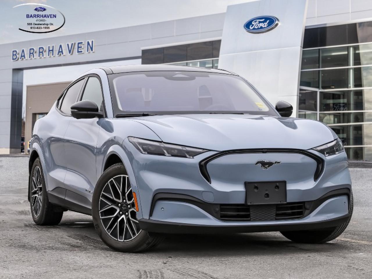 2025 Ford Mustang Mach-E Premium Photo0