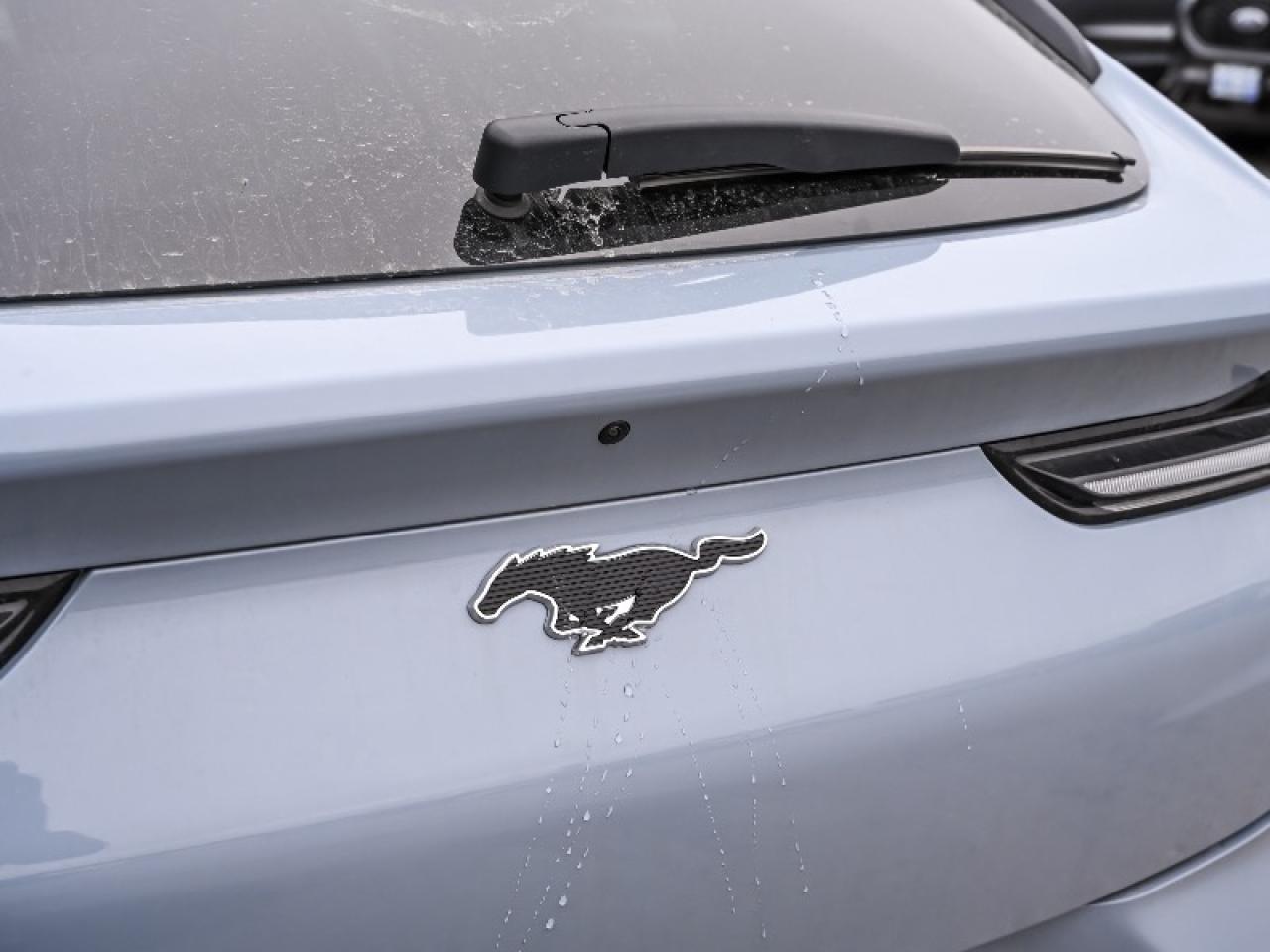 2025 Ford Mustang Mach-E Premium Photo