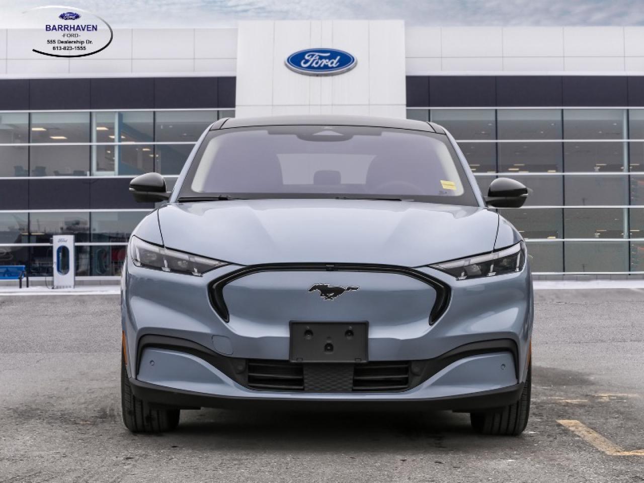2025 Ford Mustang Mach-E Premium Photo