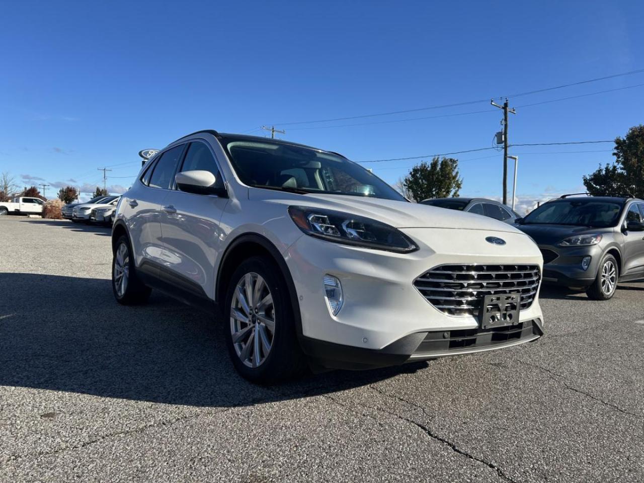 Used 2021 Ford Escape Titanium AWD for sale in Watford, ON