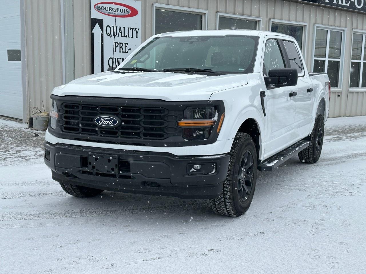 2025 Ford F-150 STX 4WD SuperCrew 5.5' Box Photo