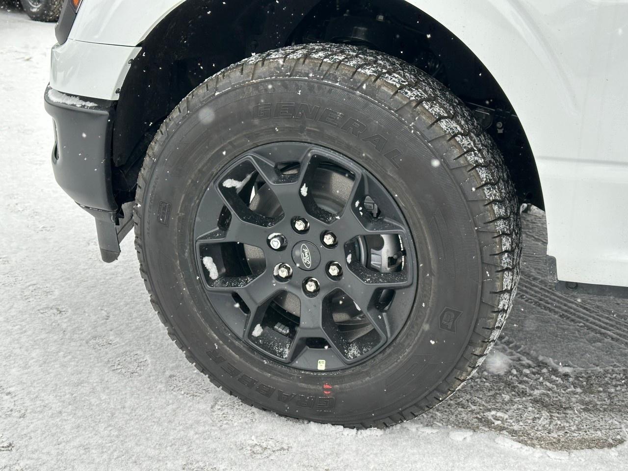 2025 Ford F-150 STX 4WD SuperCrew 5.5' Box Photo