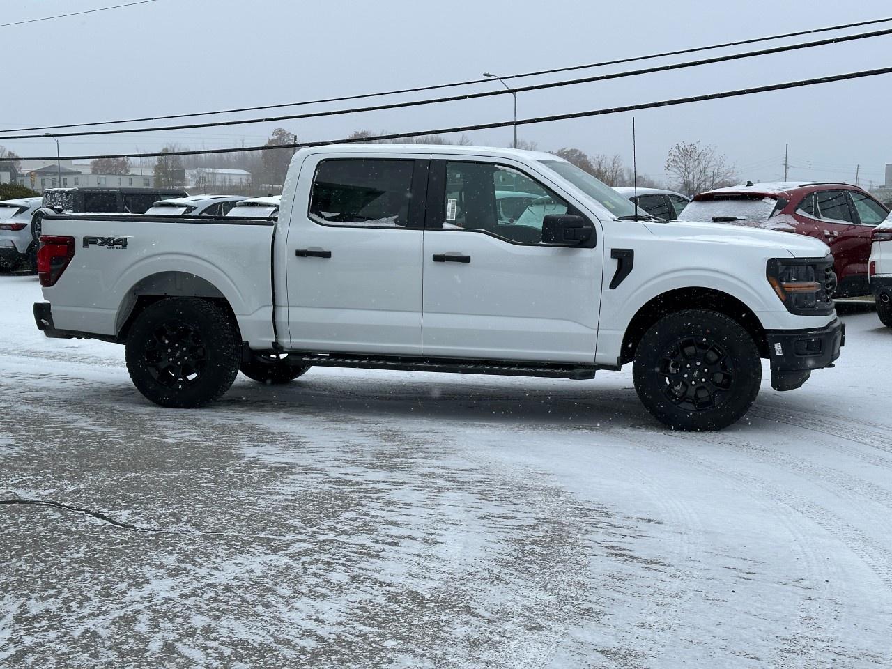 2025 Ford F-150 STX 4WD SuperCrew 5.5' Box Photo4