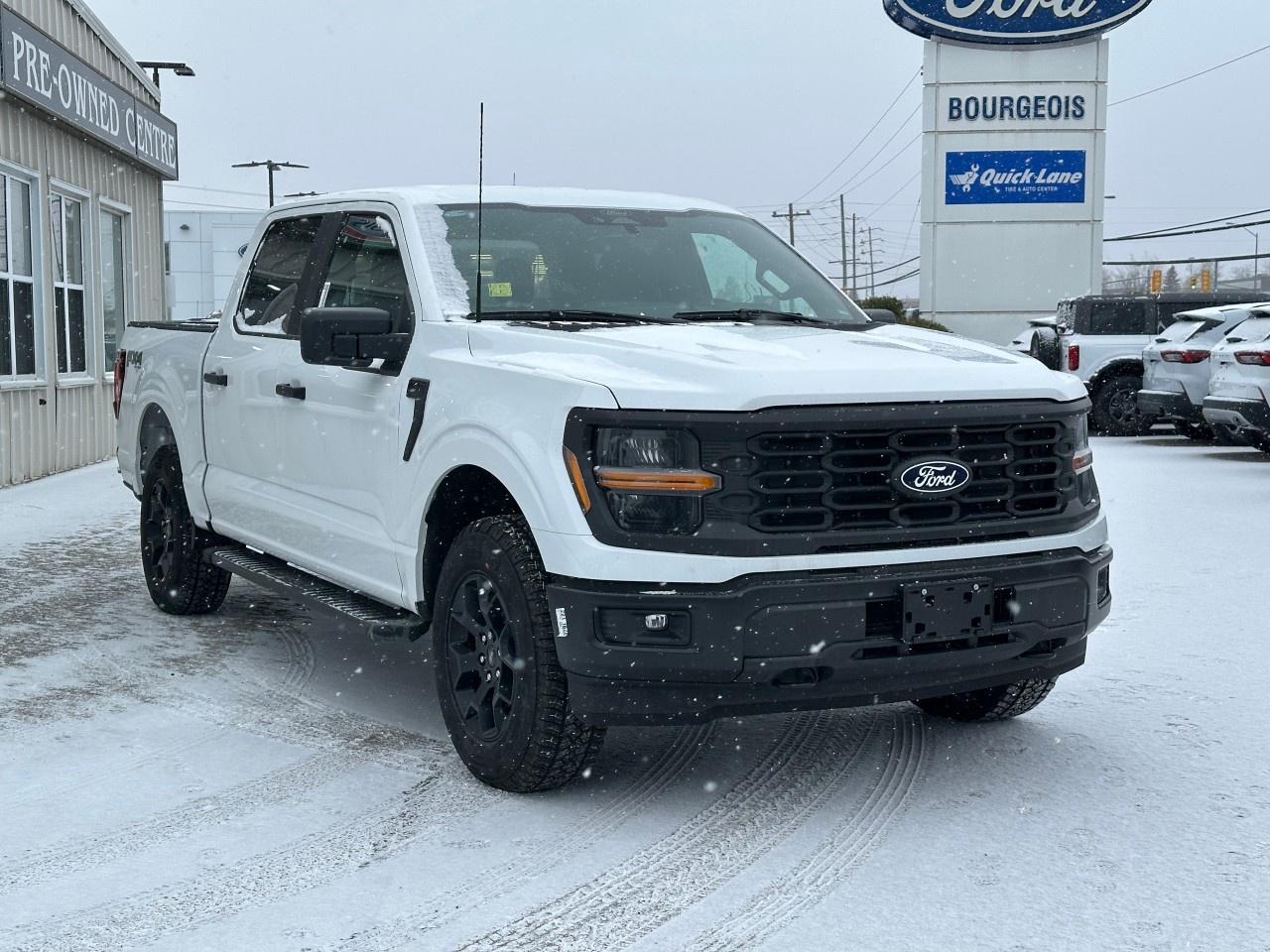 2025 Ford F-150 STX 4WD SuperCrew 5.5' Box Photo3