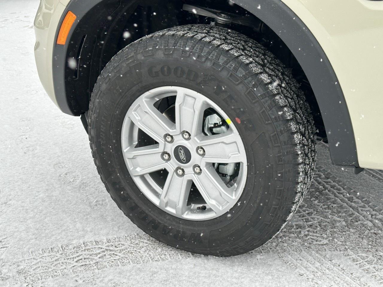 2025 Ford Ranger XL 4WD SuperCrew 5' Box Photo