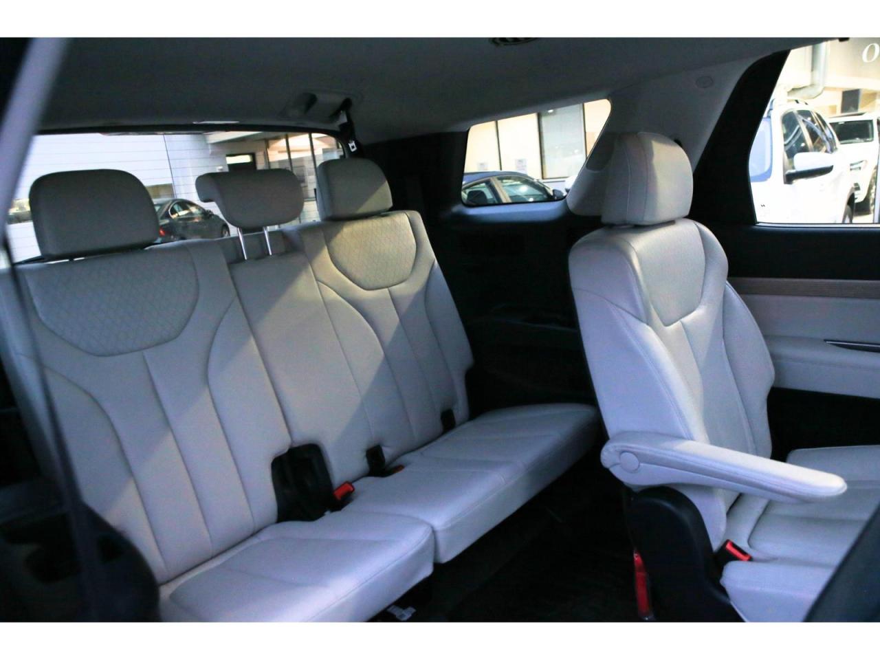 2021 Hyundai PALISADE Luxury Package | AWD Photo