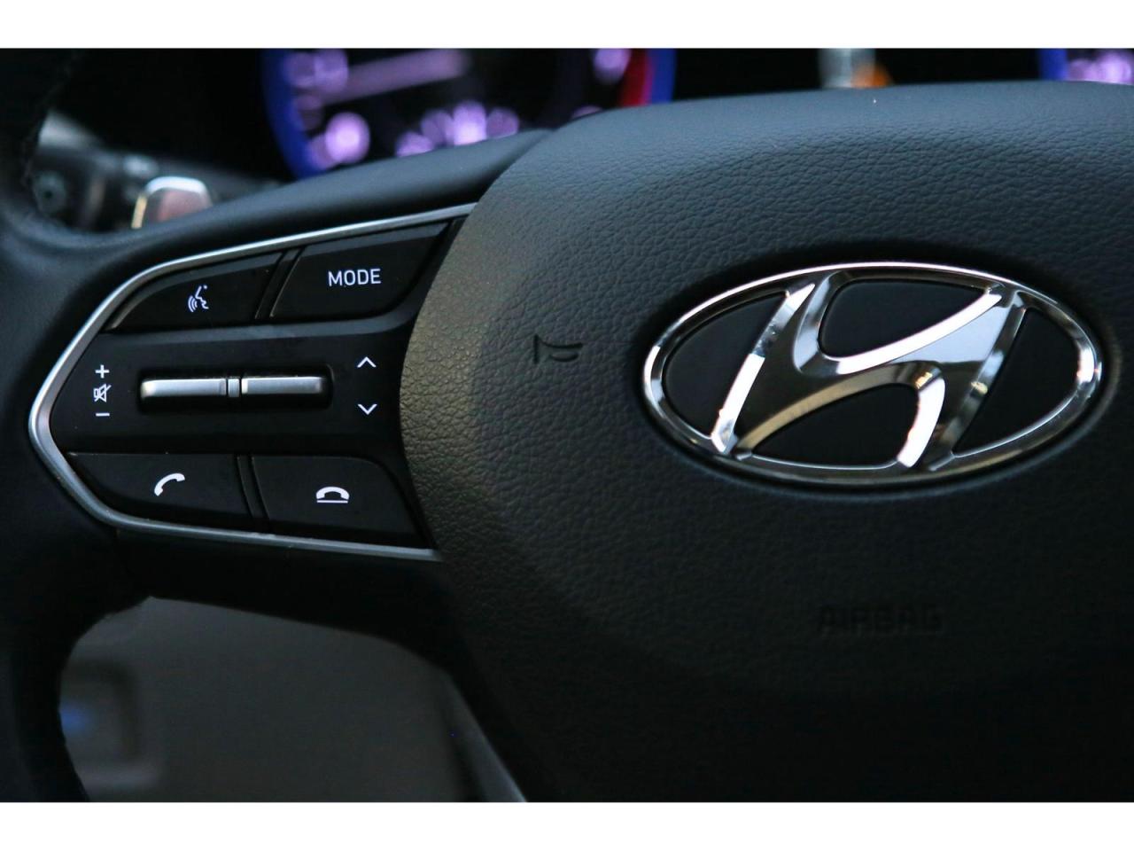 2021 Hyundai PALISADE Luxury Package | AWD Photo