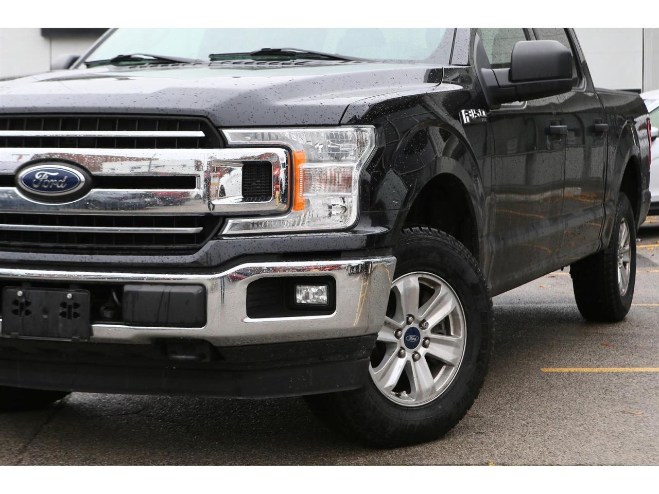2020 Ford F-150 XLT SuperCrew 4X4 5.5-ft. Bed Photo