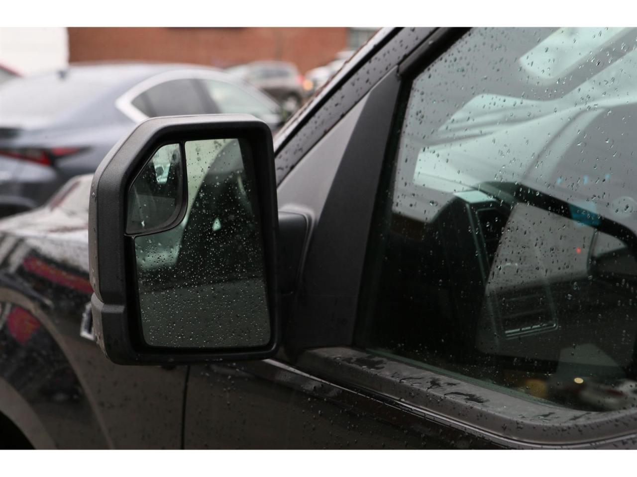 2020 Ford F-150 XLT SuperCrew 4X4 5.5-ft. Bed Photo