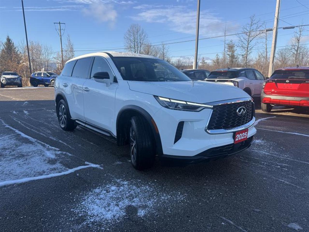 2025 Infiniti QX60 PURE AWD Photo2