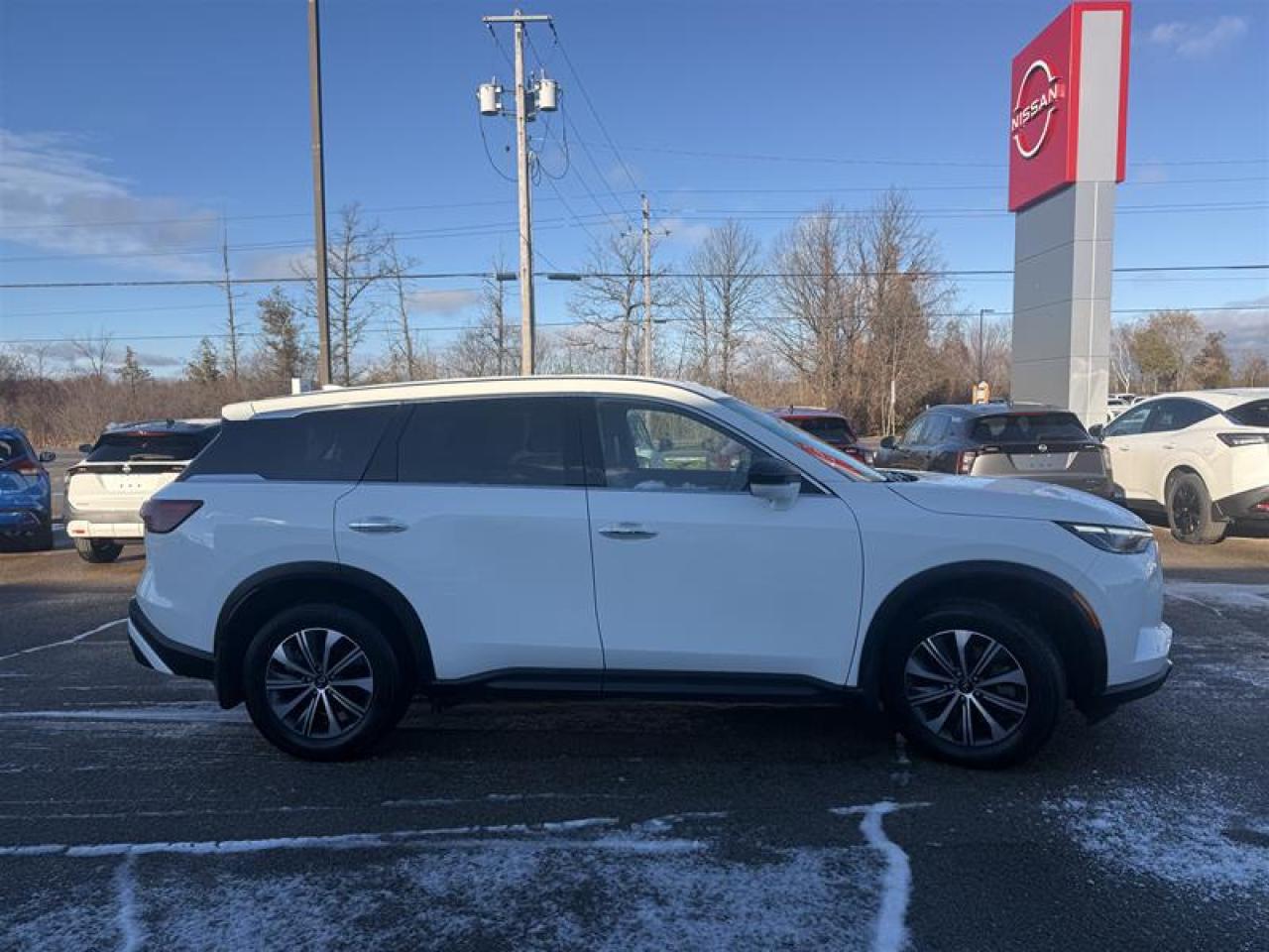 2025 Infiniti QX60 PURE AWD Photo