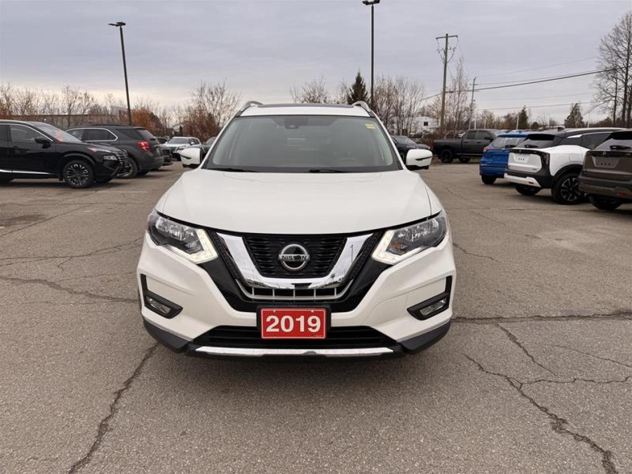 2019 Nissan Rogue SV AWD CVT Photo