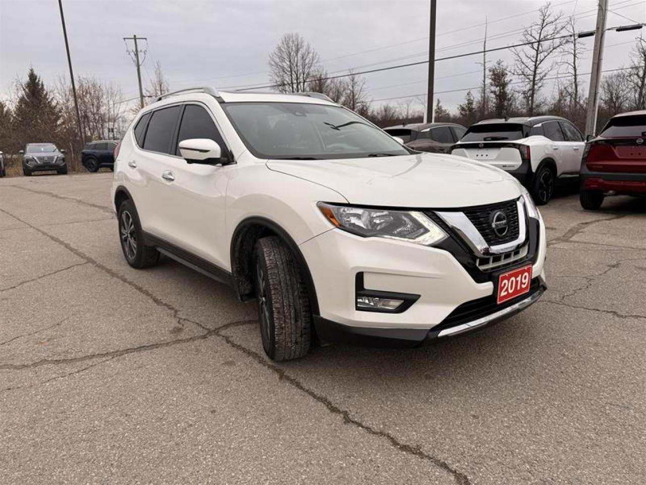2019 Nissan Rogue SV AWD CVT Photo