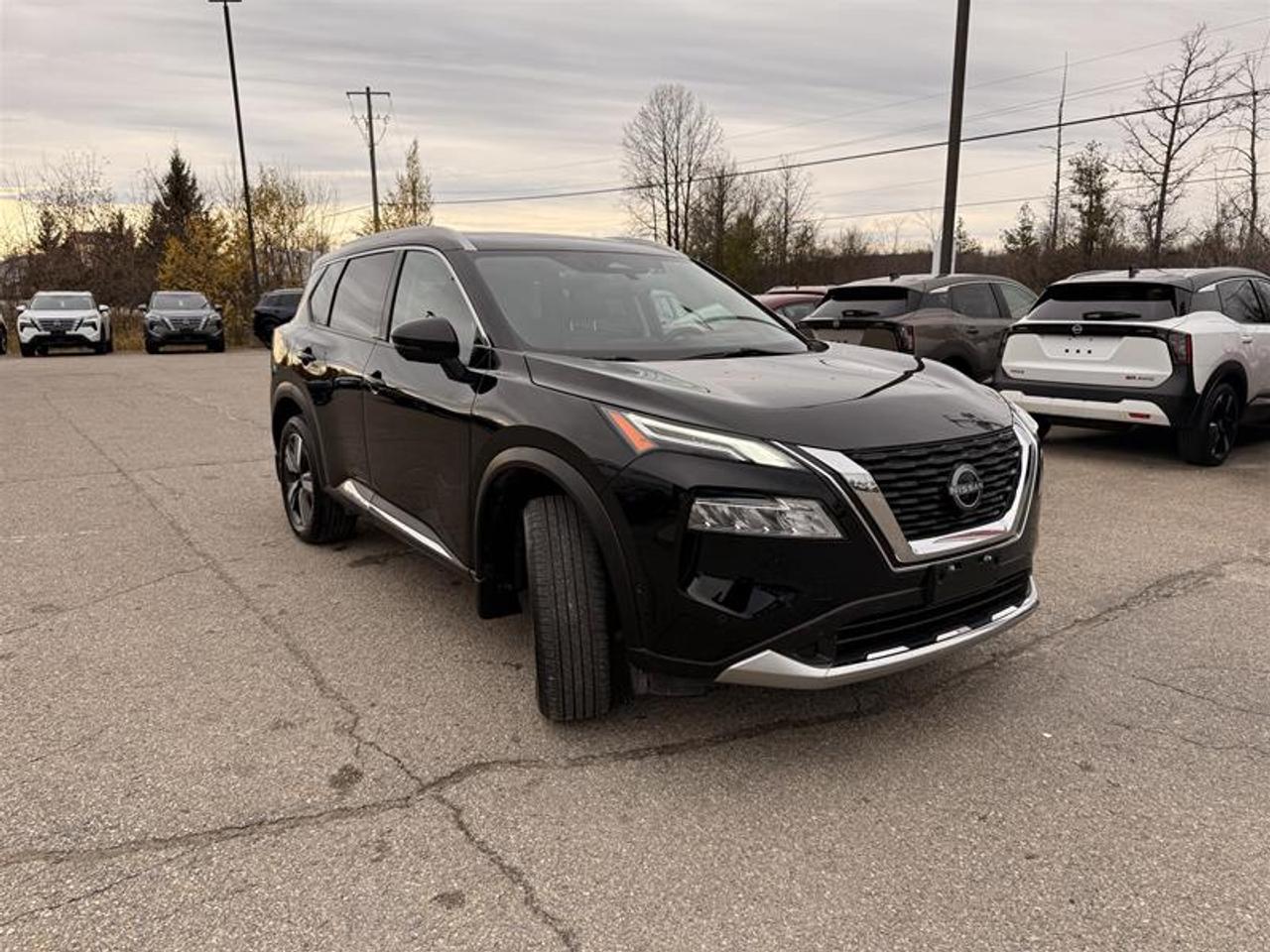 2023 Nissan Rogue Platinum CVT Photo2