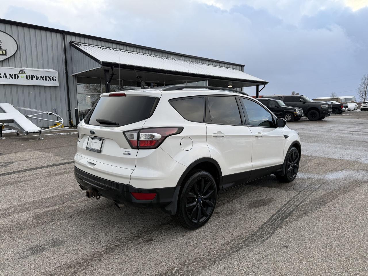 2017 Ford Escape SE - Photo #4