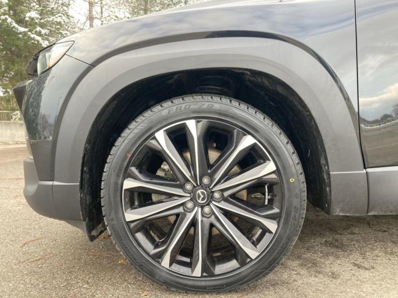 2023 Mazda CX-50 GT AWD Turbo | Leather Seats | AC Seats | Panoramic Roof Photo