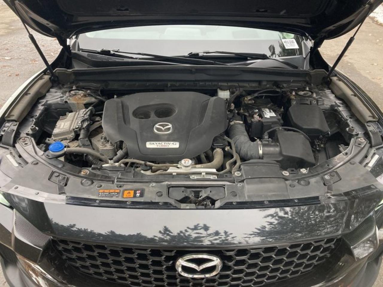 2023 Mazda CX-50 GT AWD Turbo | Leather Seats | AC Seats | Panoramic Roof Photo