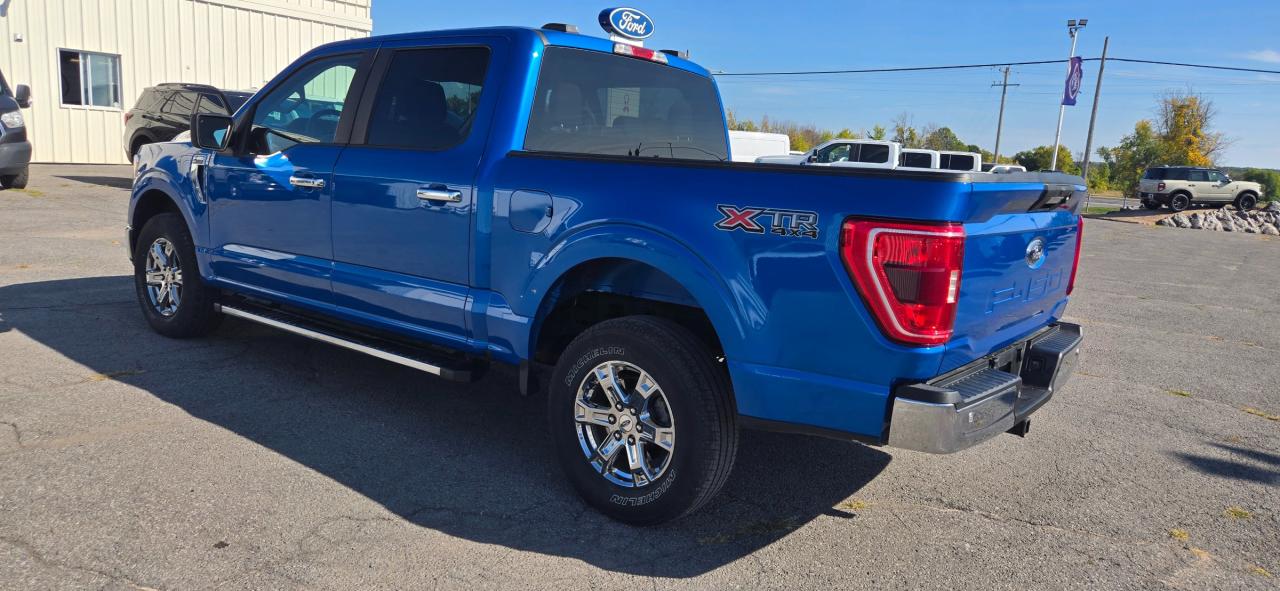 2021 Ford F-150 XLT Photo