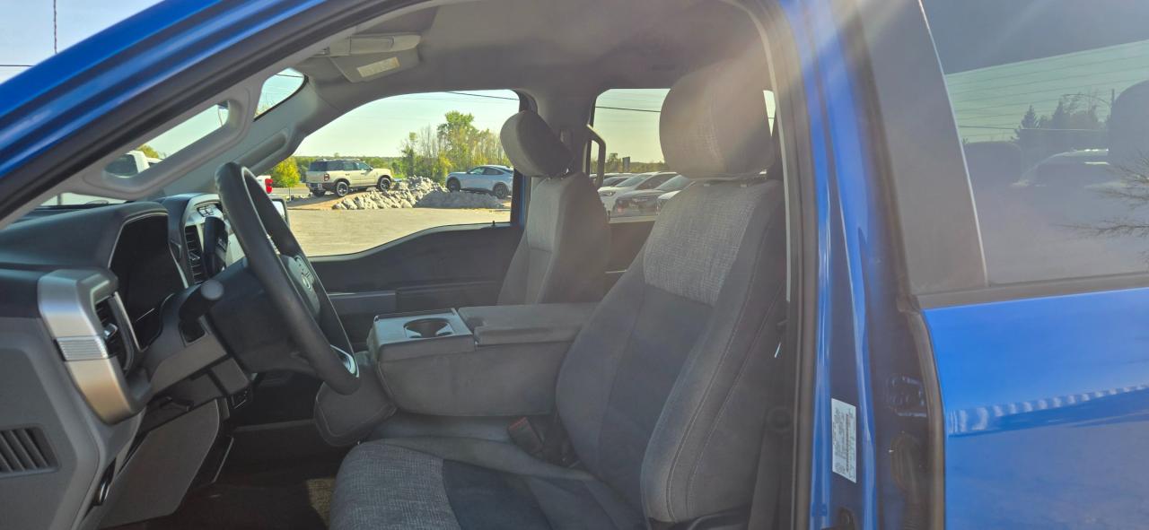 2021 Ford F-150 XLT Photo