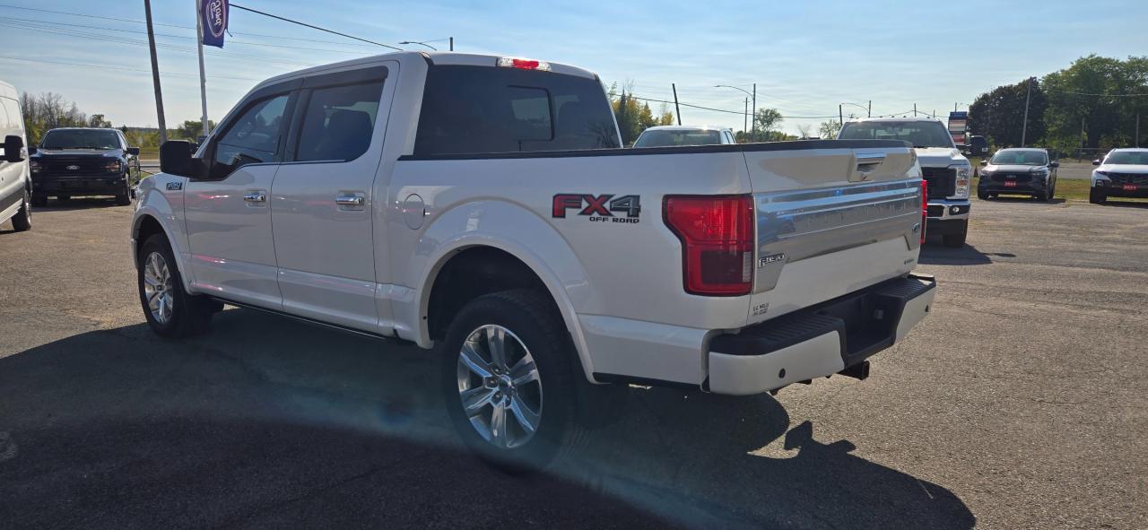 2019 Ford F-150 Platinum Photo2