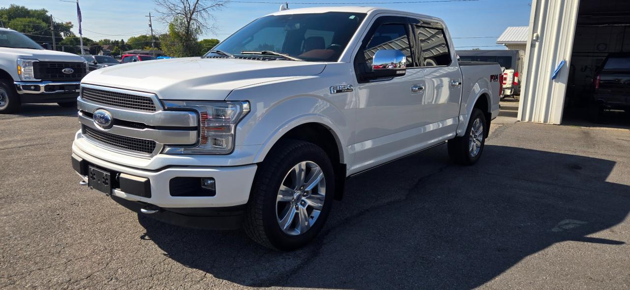 2019 Ford F-150 Platinum Photo0