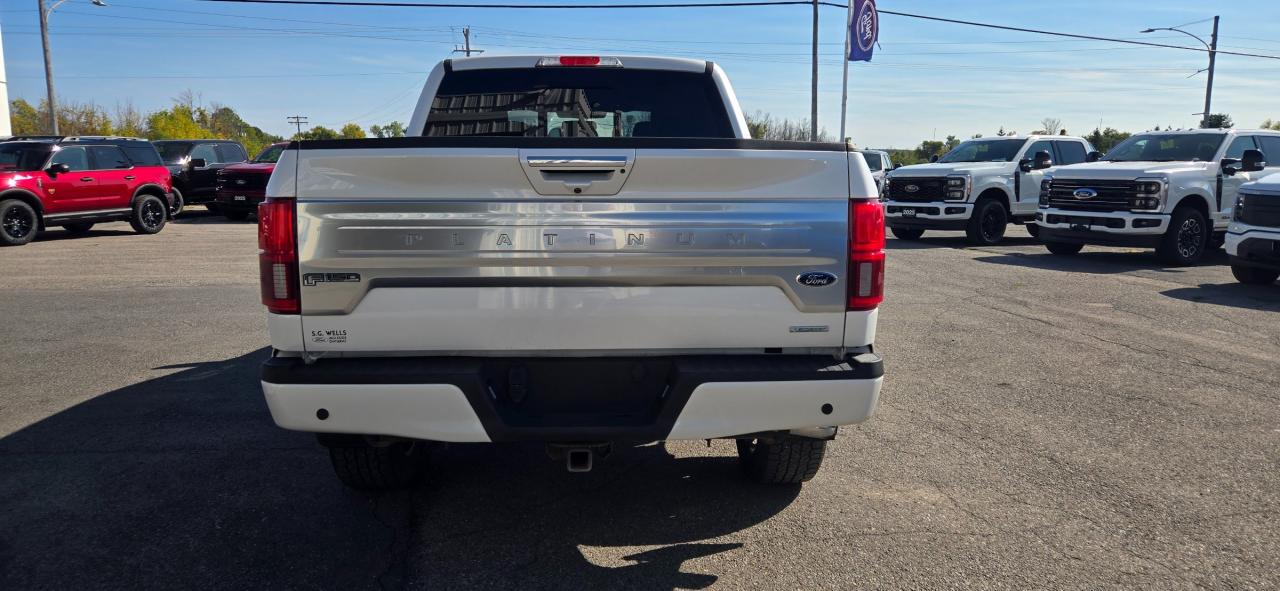 2019 Ford F-150 Platinum Photo3