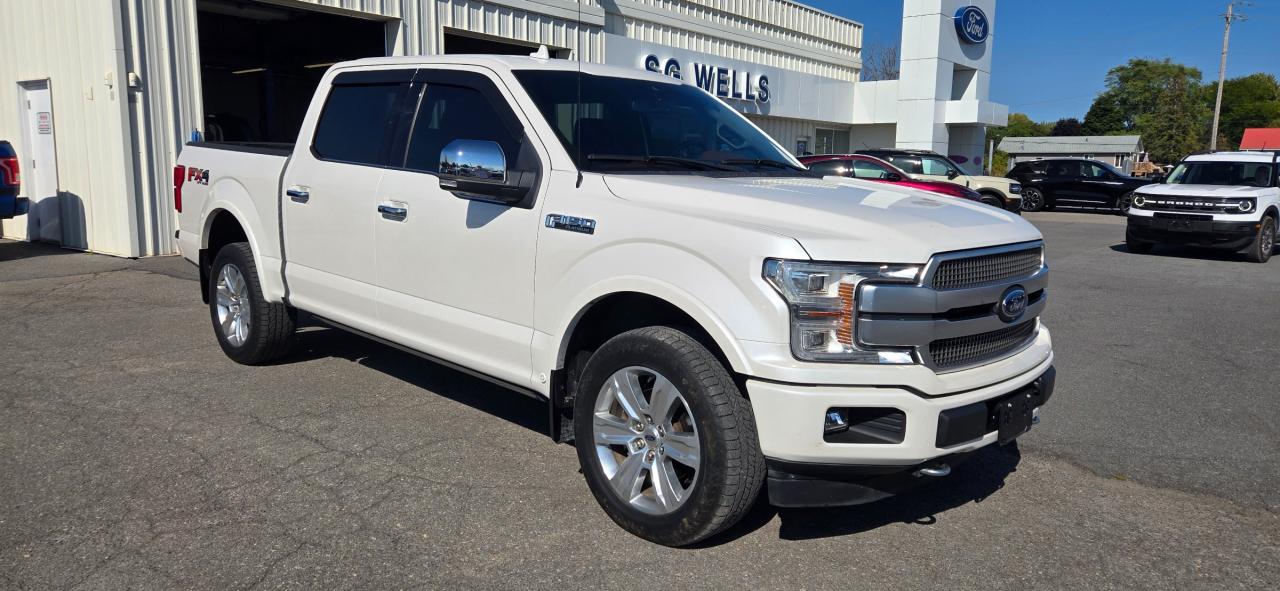 2019 Ford F-150 Platinum Photo
